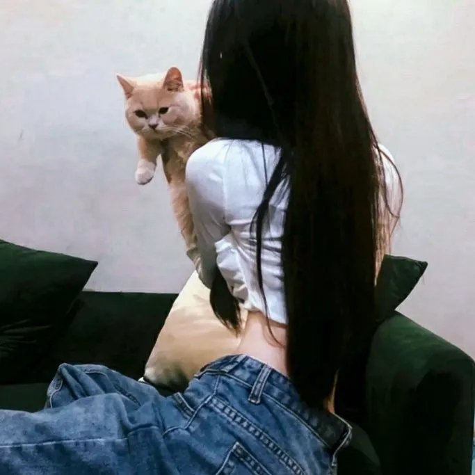 重鸟