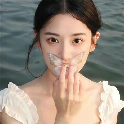 森林